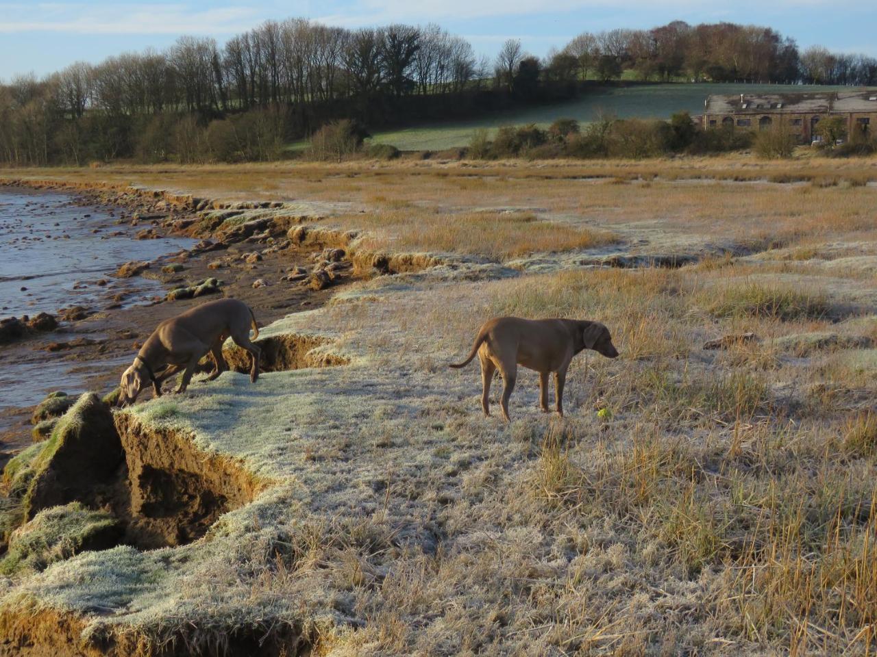The Bay Horse Hotel And Restaurant Ulverston Luaran gambar